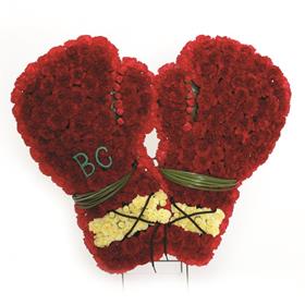 fwthumbboxing gloves.jpg